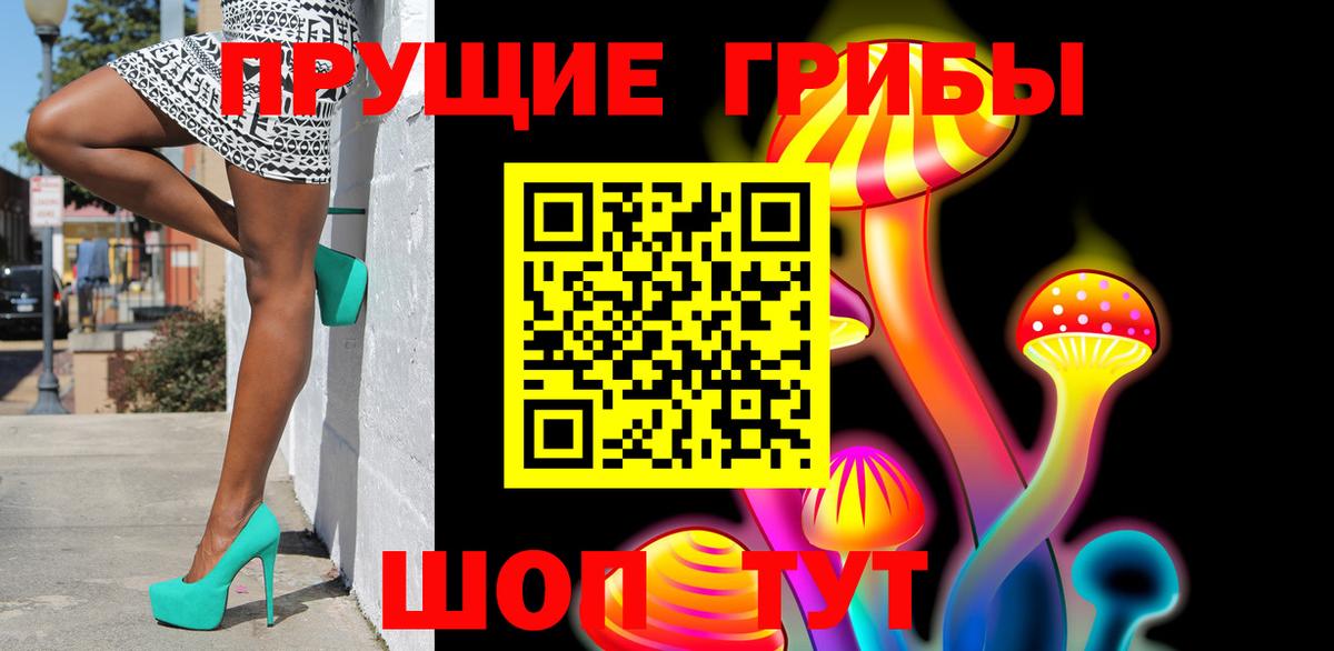 Псилоцибиновые грибы прущие грибы  Вход с VPN  Камышин 